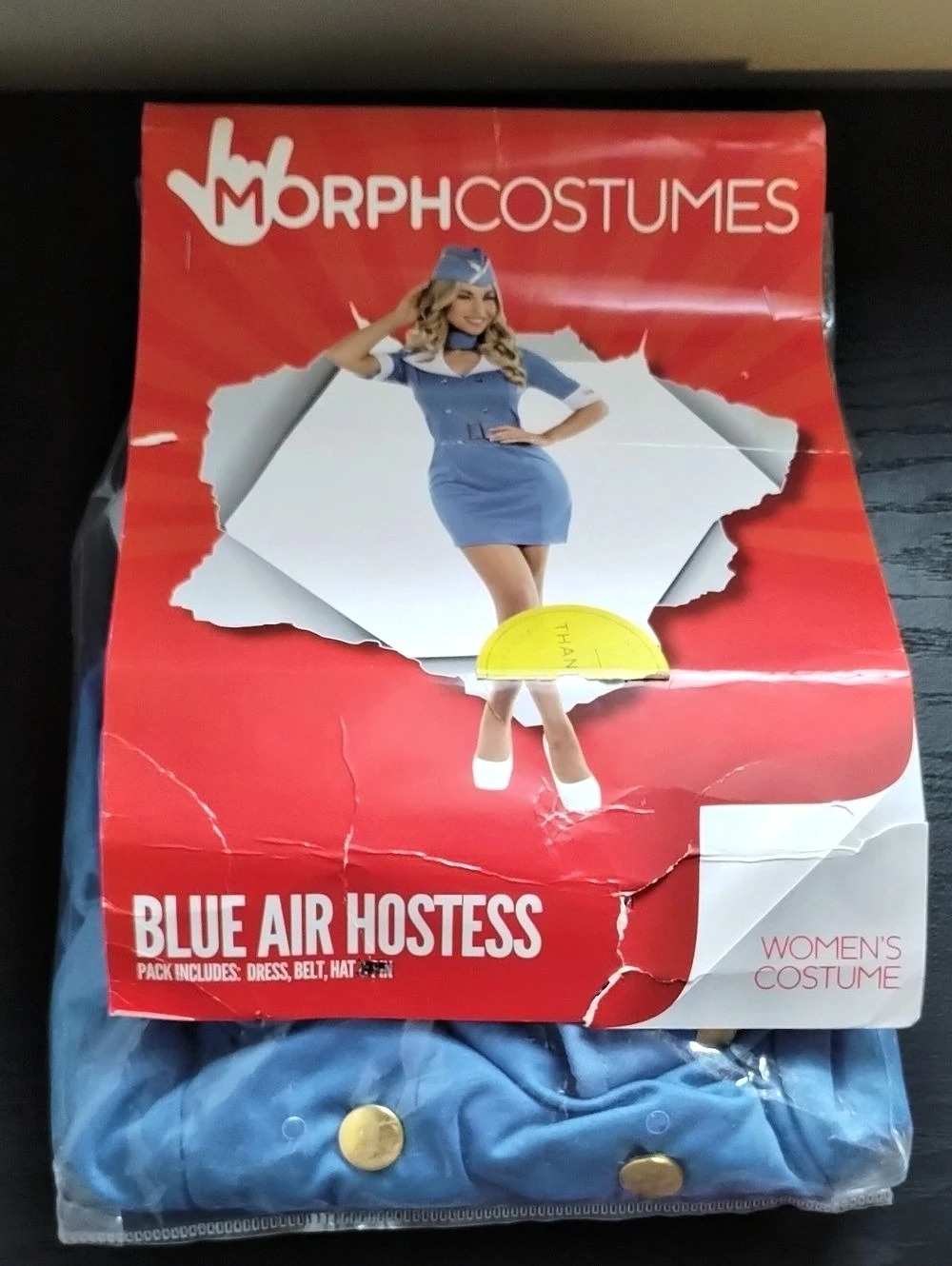 MorphCostumes Blue Air Hostess Costume